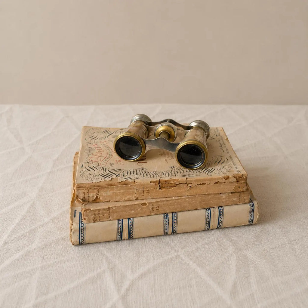 Antique Colmont Paris Mother of Pearl Opera Glasses, French Brass Binoculars, Theater Binoculars, Grand Tour Decor, Collectible Optics - Image 1