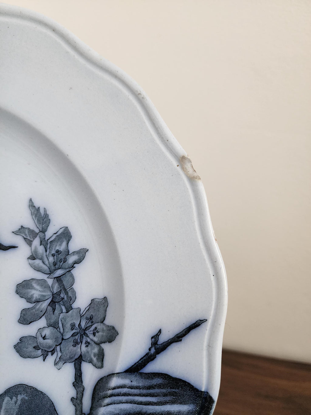 Antique 1873 BWM Co Punch Plate, 9.5" Blue & White Transferware Wall Plate, English Botanical Ironstone, French Country Decor