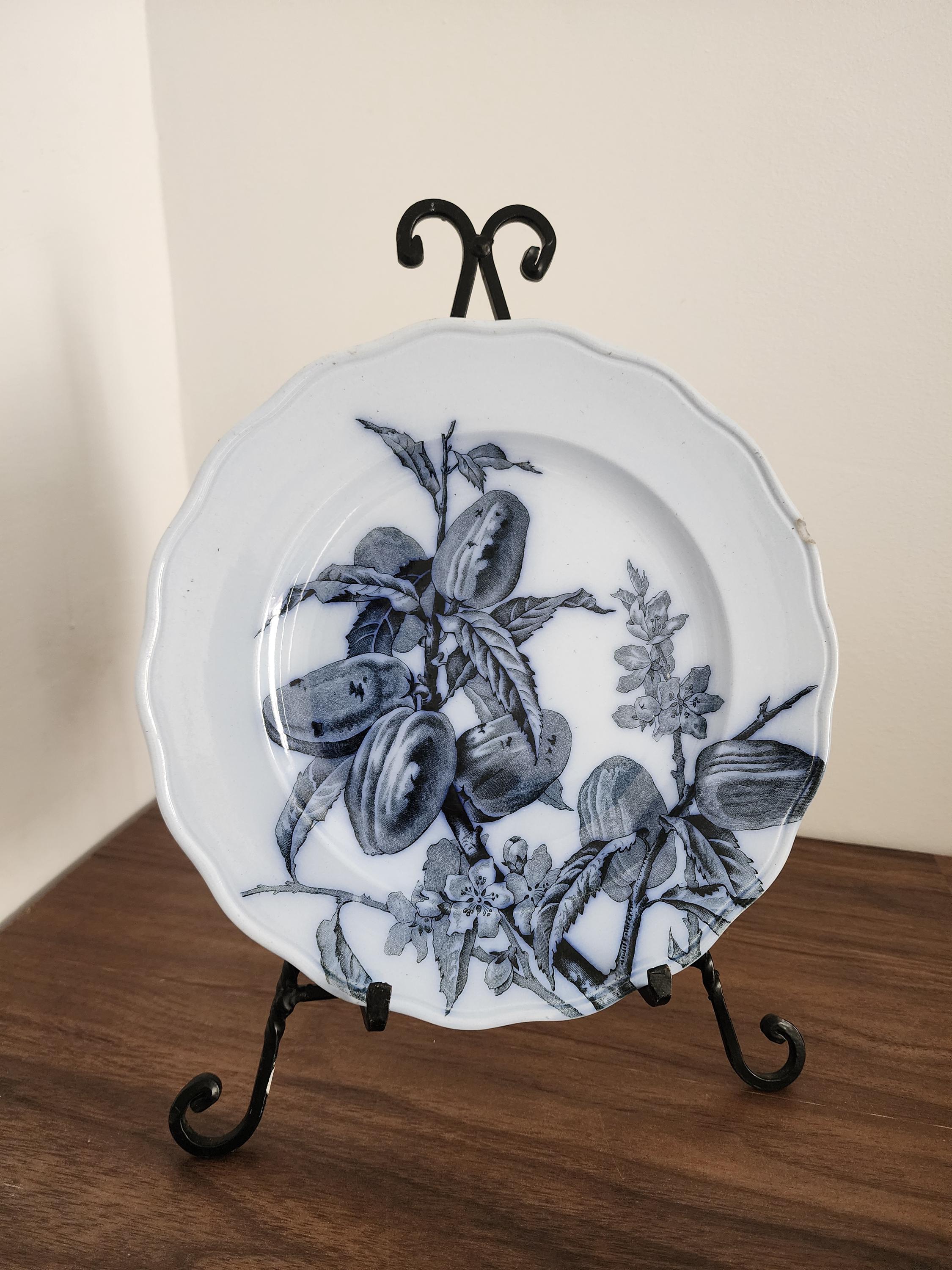 Antique 1873 BWM  Co Punch Plate, 9.5" Blue & White Transferware Wall Plate, English Botanical Ironstone, French Country Decor