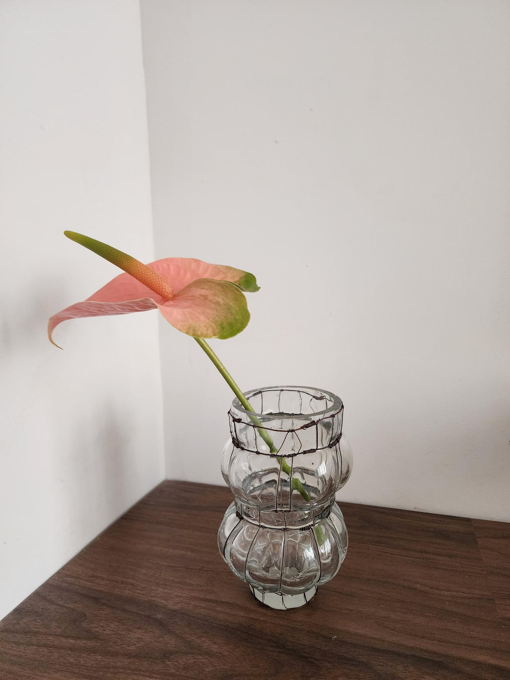 Hand Blown Glass Wire Sculpture, Vintage Clear Glass Vase, Ribbed Bubble Form, Rustic Wrapped Art Object, Decorative Accent Piece