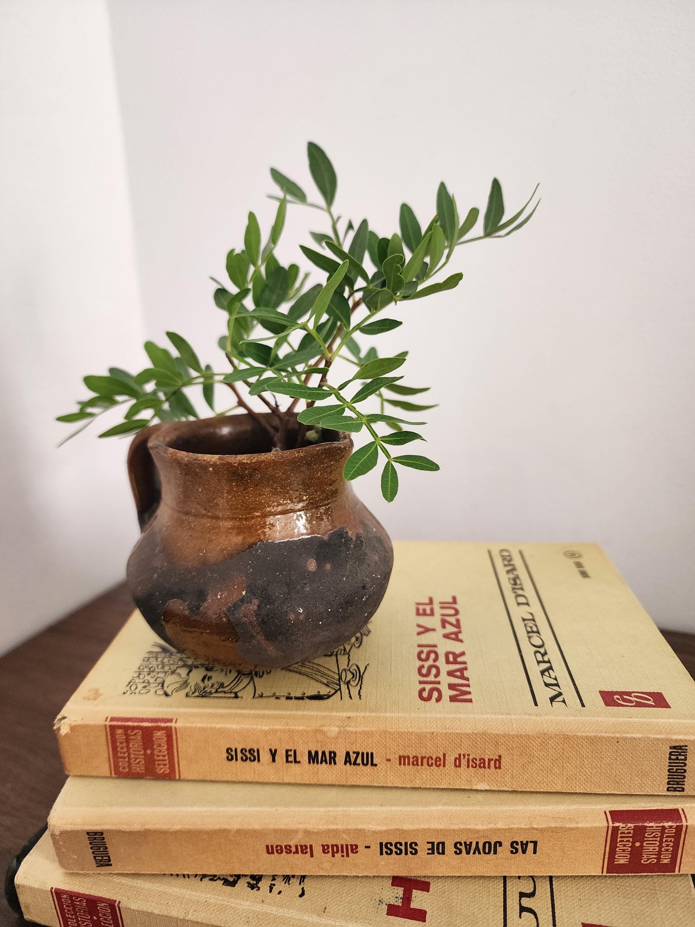 Miniature Spanish Clay Pot, Rustic Handmade Terracotta Jug, Tiny Ceramic Vessel, Folk Art Pottery Decor Collectible