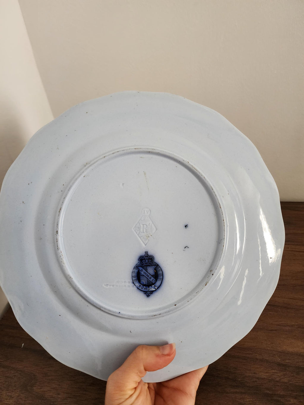 Antique 1873 BWM Co Punch Plate, 9.5" Blue & White Transferware Wall Plate, English Botanical Ironstone, French Country Decor