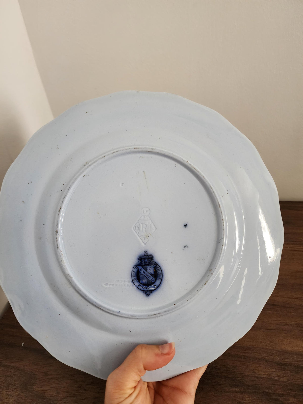 Antique 1873 BWM Co Punch Plate, 9.5" Blue & White Transferware Wall Plate, English Botanical Ironstone, French Country Decor