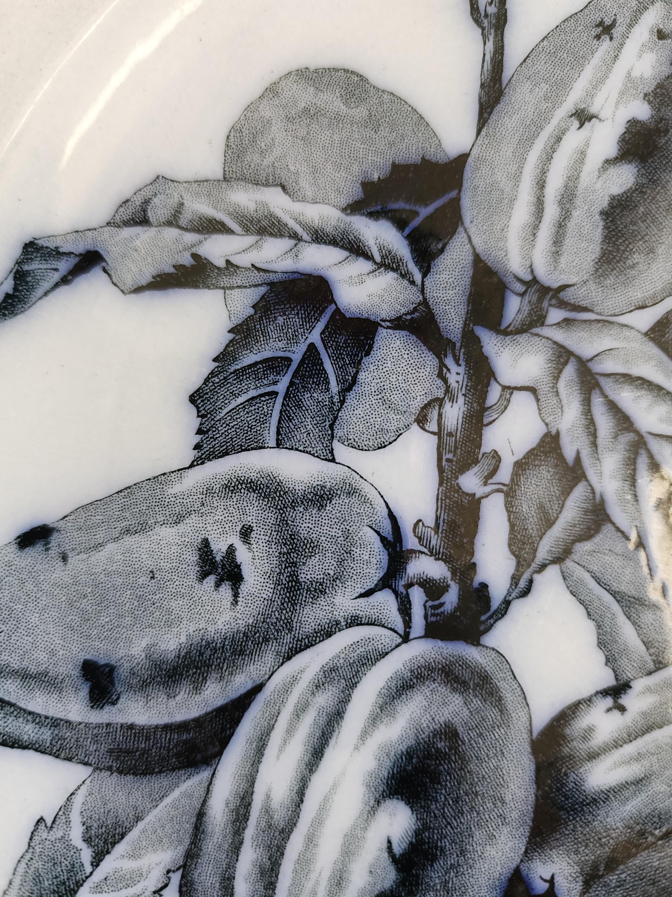Antique 1873 BWM  Co Punch Plate, 9.5" Blue & White Transferware Wall Plate, English Botanical Ironstone, French Country Decor