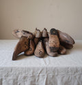 Vintage Wooden Shoe Last Collection