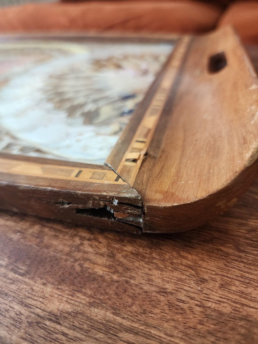 RARE Vintage Butterfly Wing Tray | Vintage Brazilian Butterfly Wing Tray | Real Butterfly Mosaic Under Glass | Mid Century Wood Serving Tray