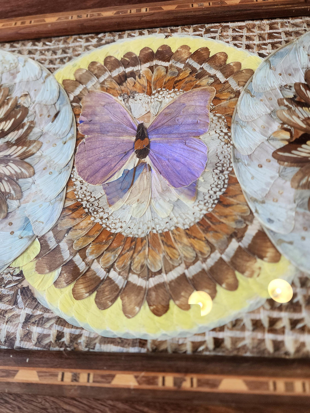 RARE Vintage Butterfly Wing Tray | Vintage Brazilian Butterfly Wing Tray | Real Butterfly Mosaic Under Glass | Mid Century Wood Serving Tray