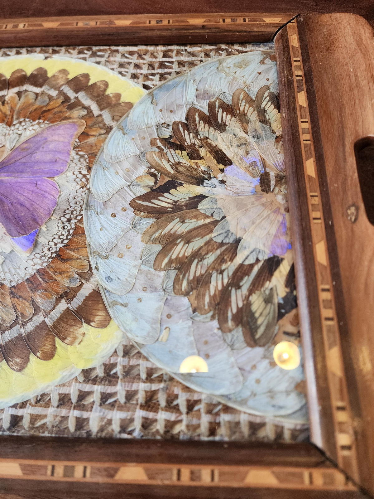 RARE Vintage Butterfly Wing Tray | Vintage Brazilian Butterfly Wing Tray | Real Butterfly Mosaic Under Glass | Mid Century Wood Serving Tray
