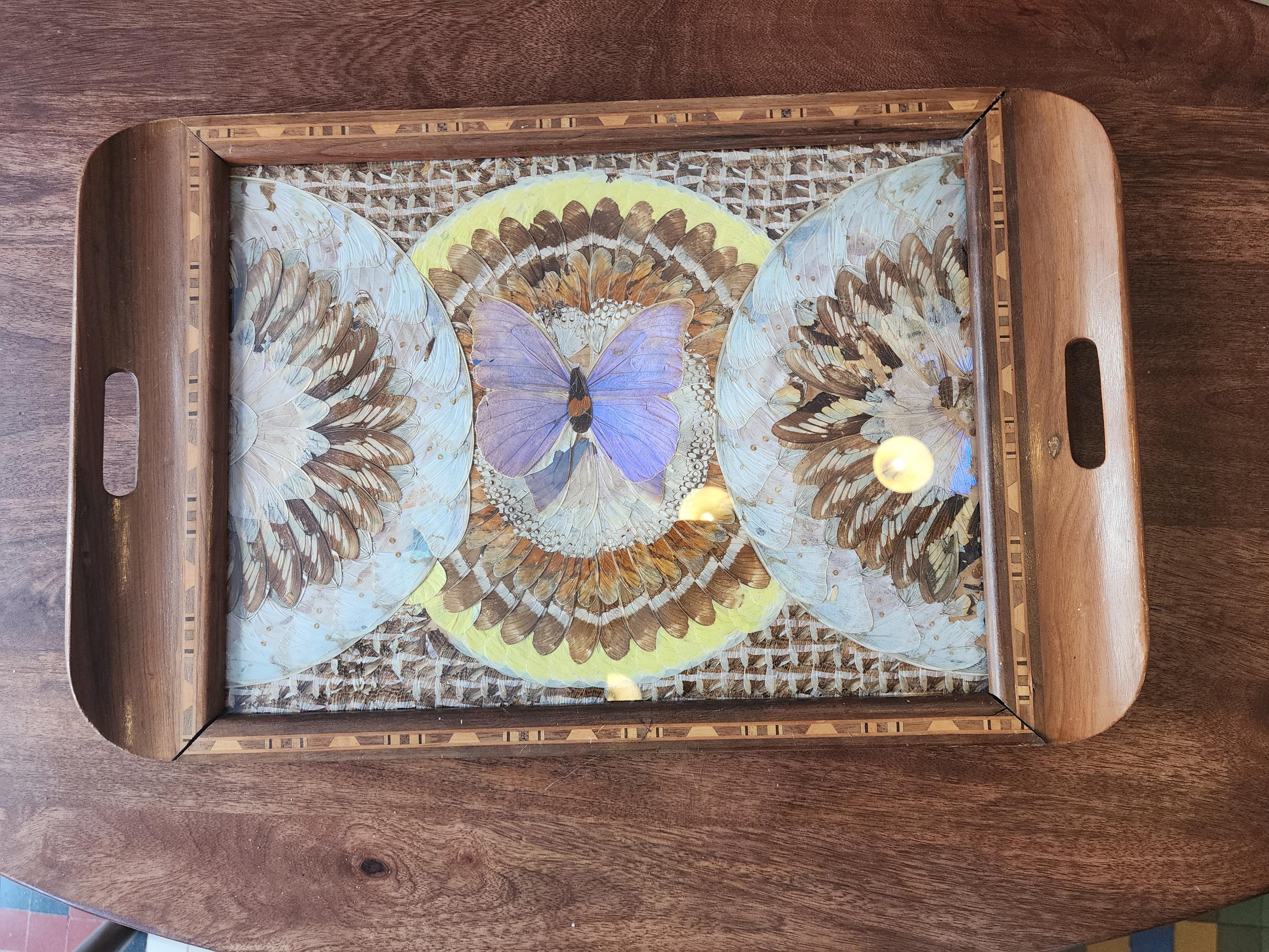 RARE Vintage Butterfly Wing Tray | Vintage Brazilian Butterfly Wing Tray | Real Butterfly Mosaic Under Glass | Mid Century Wood Serving Tray