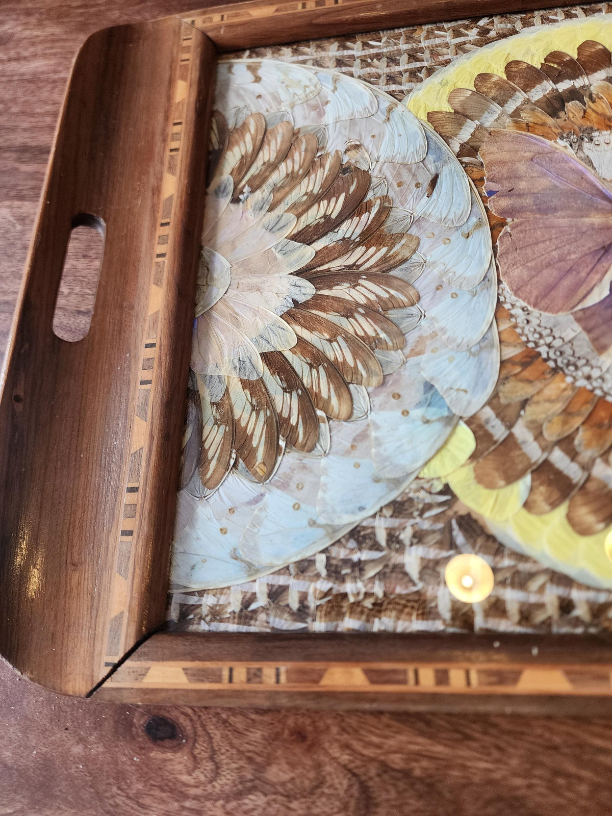 RARE Vintage Butterfly Wing Tray | Vintage Brazilian Butterfly Wing Tray | Real Butterfly Mosaic Under Glass | Mid Century Wood Serving Tray