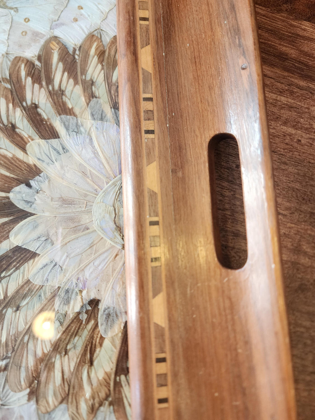 RARE Vintage Butterfly Wing Tray | Vintage Brazilian Butterfly Wing Tray | Real Butterfly Mosaic Under Glass | Mid Century Wood Serving Tray