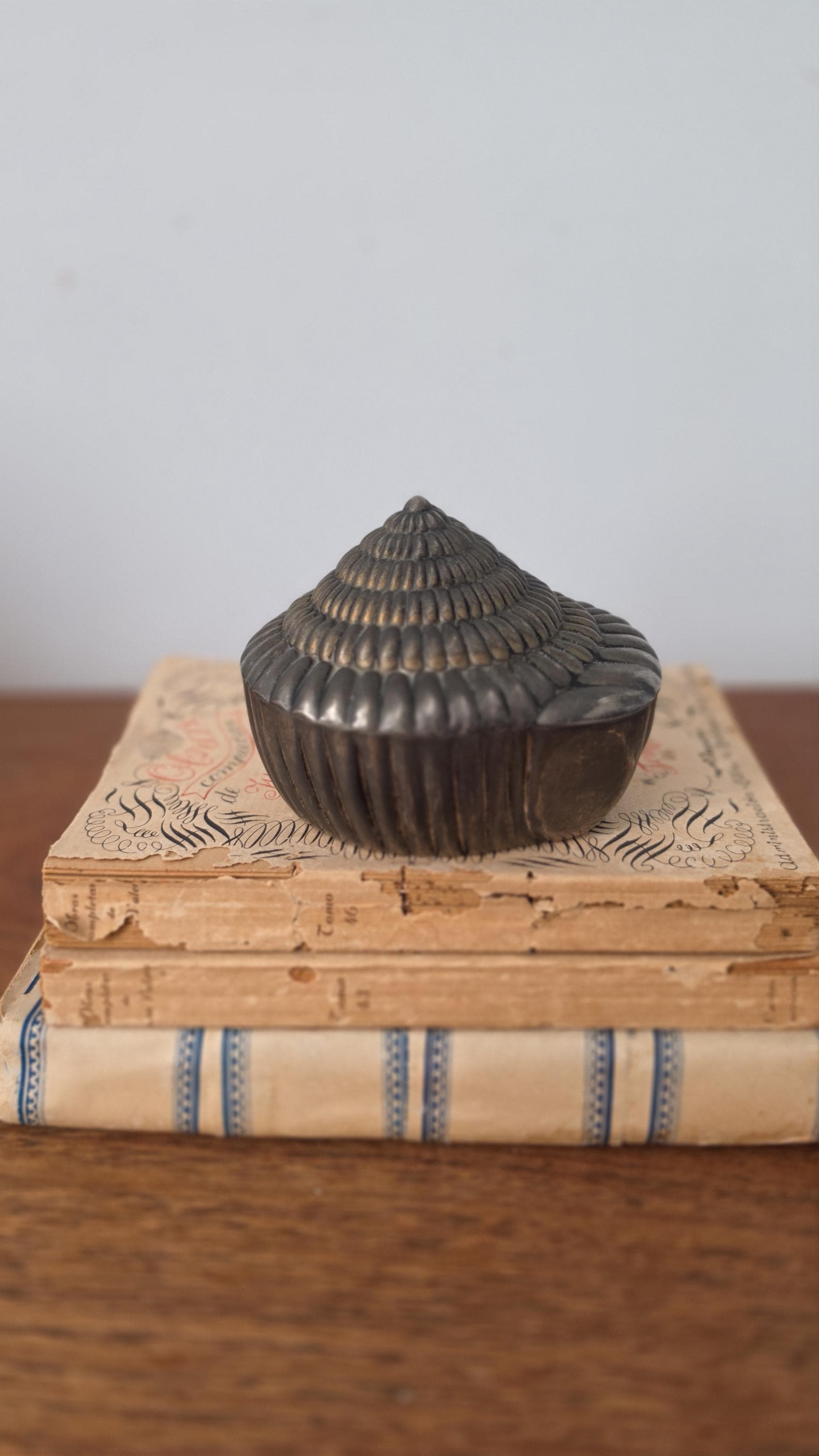 Vintage Seashell Trinket Box, Silver Tone Shell Jewelry Box, Coastal Vanity Decor, Hollywood Regency Keepsake Box