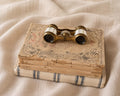 Antique Colmont Paris Mother of Pearl Opera Glasses