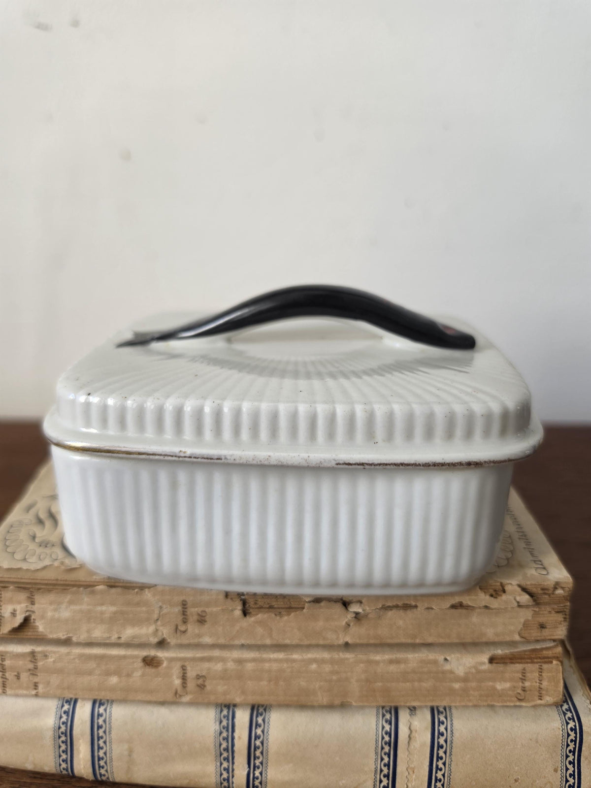 Antique French Porcelain Sardine Box, Hand Painted Fish Trinket Box, France Ceramic Lidded Box, Coastal Nautical Decor