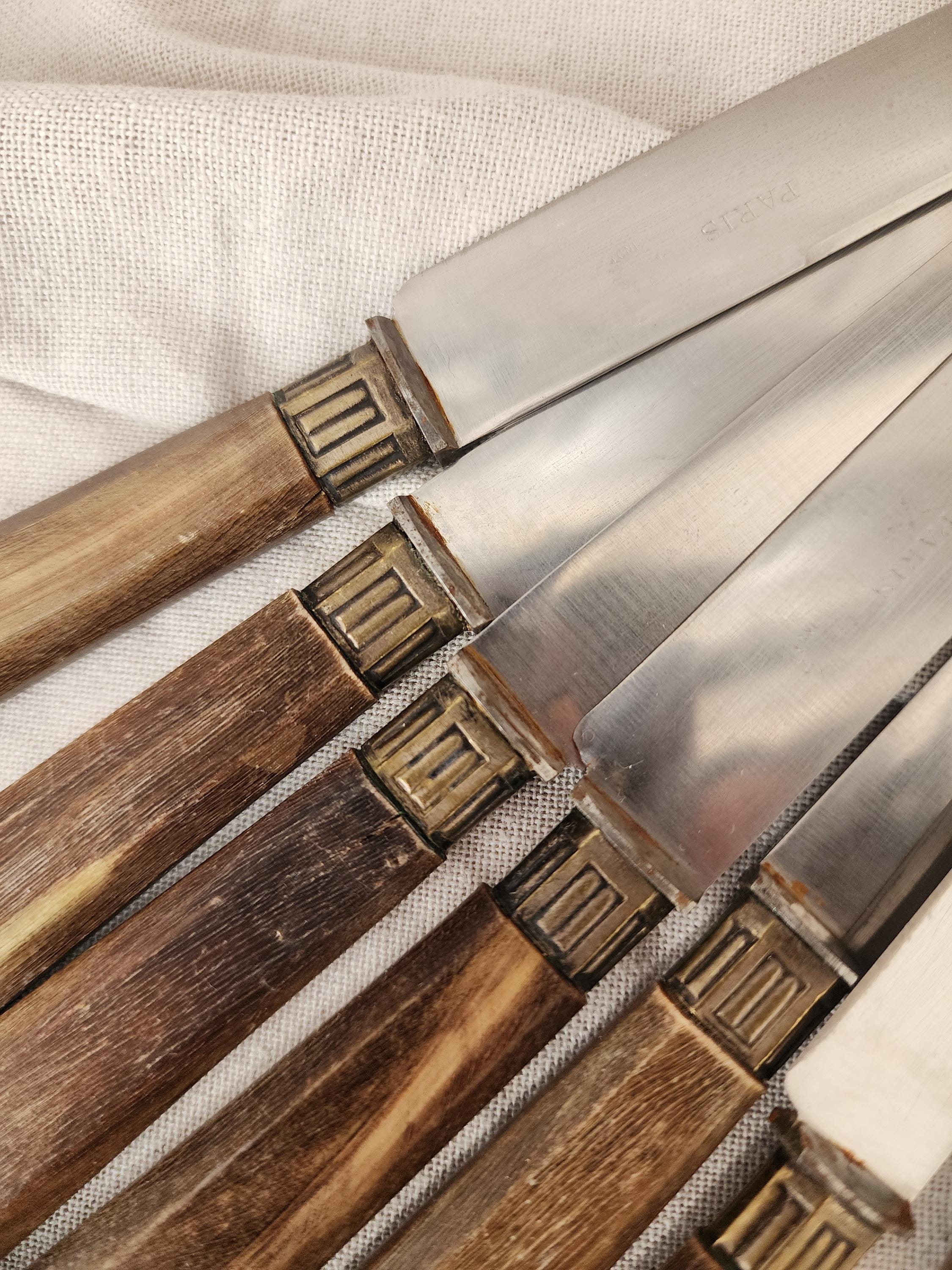 Set of 10 Horn Handle Paris Stainless Steel Knives, Vintage French Cutlery, Rustic Tableware, Midcentury Dining Flatware Set