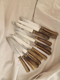 Vintage Set of 10 Horn Handle Paris Stainless Steel Knives