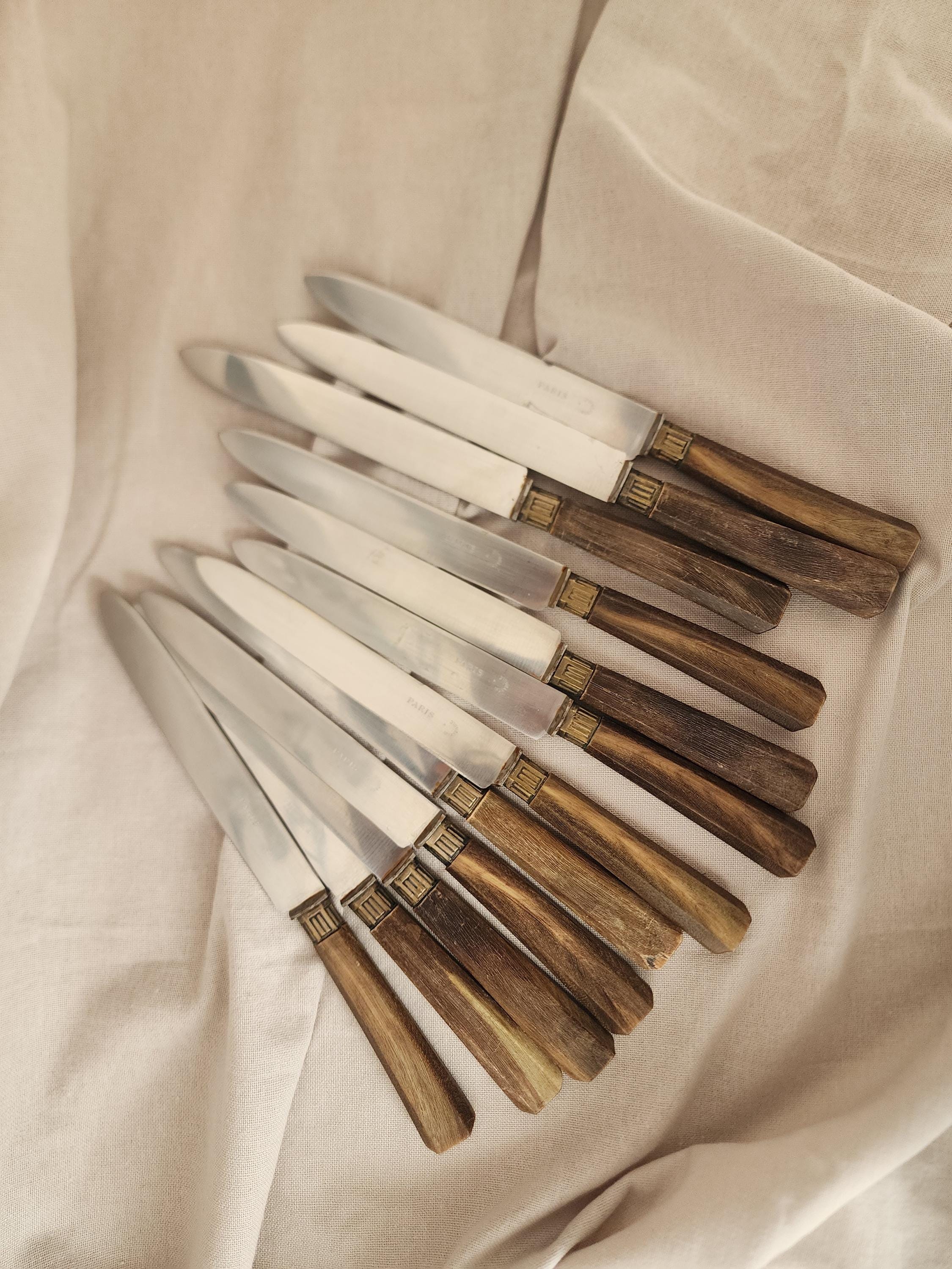 Vintage Set of 10 Horn Handle Paris Stainless Steel Knives