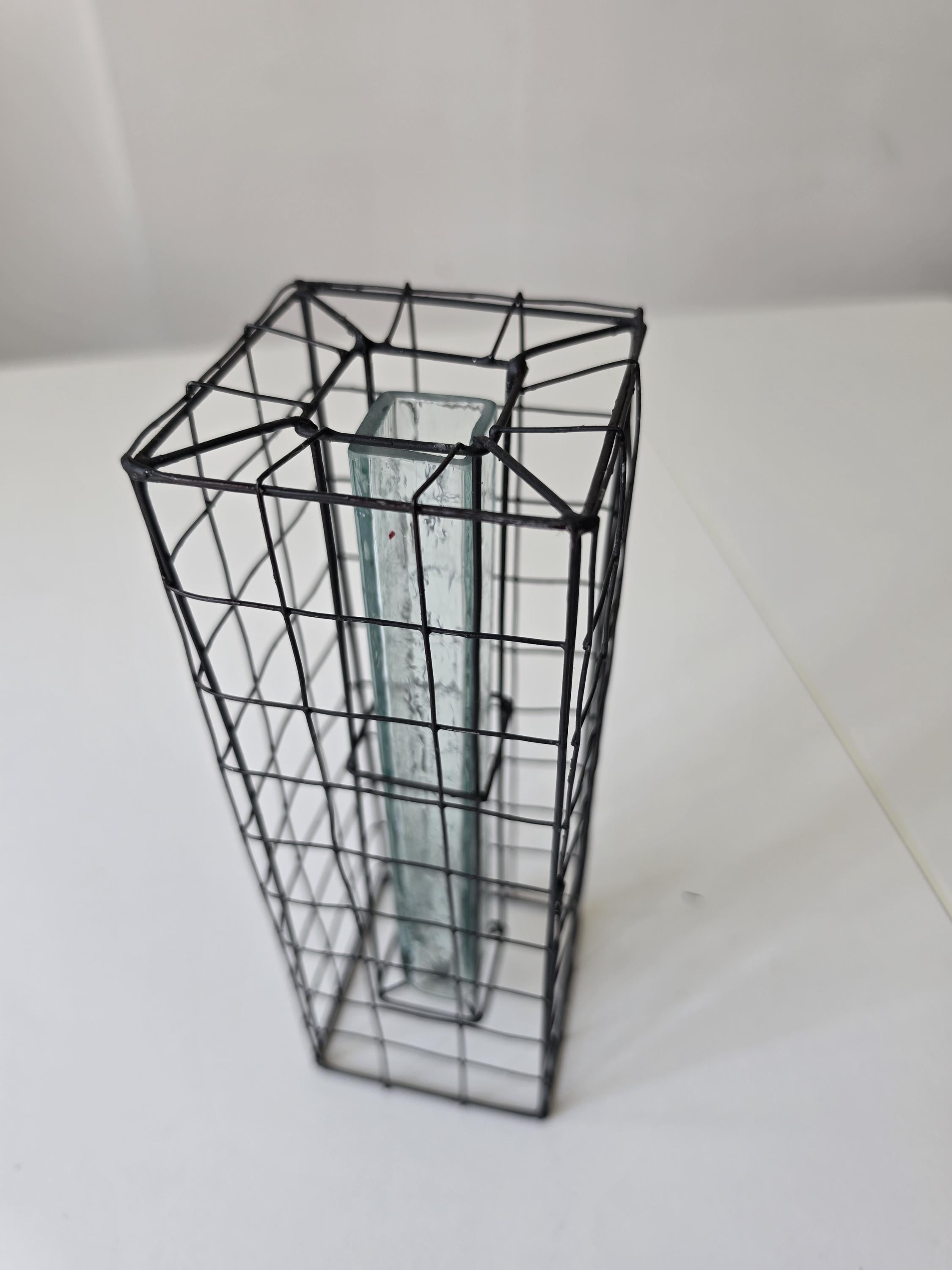 Vintage Industrial Wire Vase Black Metal Grid Vase Glass Test Tube Vase Minimalist Brutalist Floral Display Modern Decor