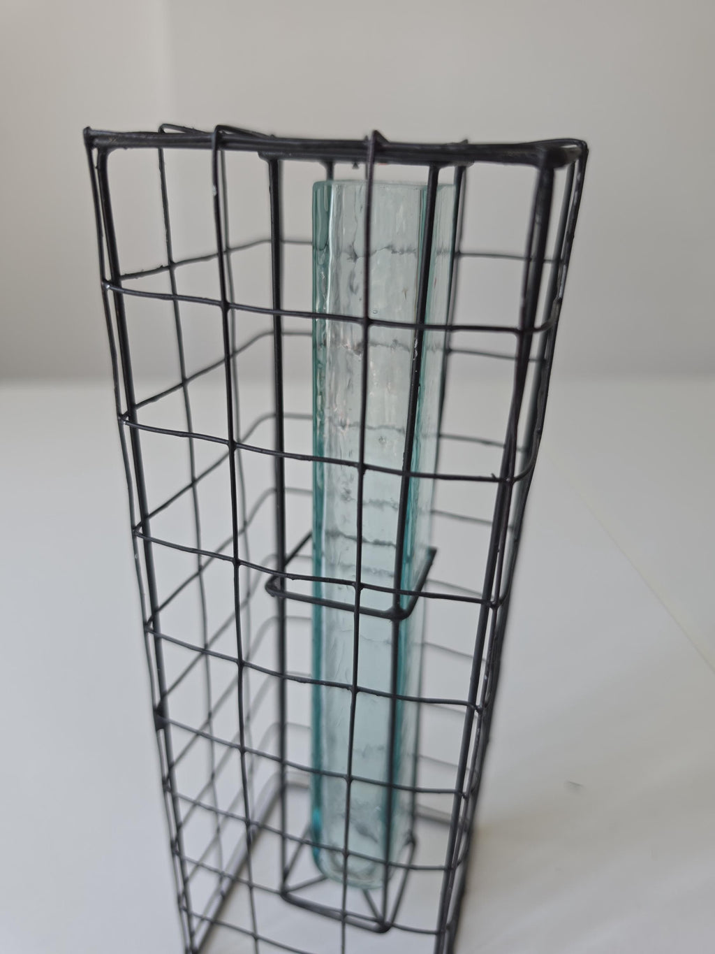 Vintage Industrial Wire Vase Black Metal Grid Vase Glass Test Tube Vase Minimalist Brutalist Floral Display Modern Decor
