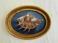 Original Seashell Oil Painting