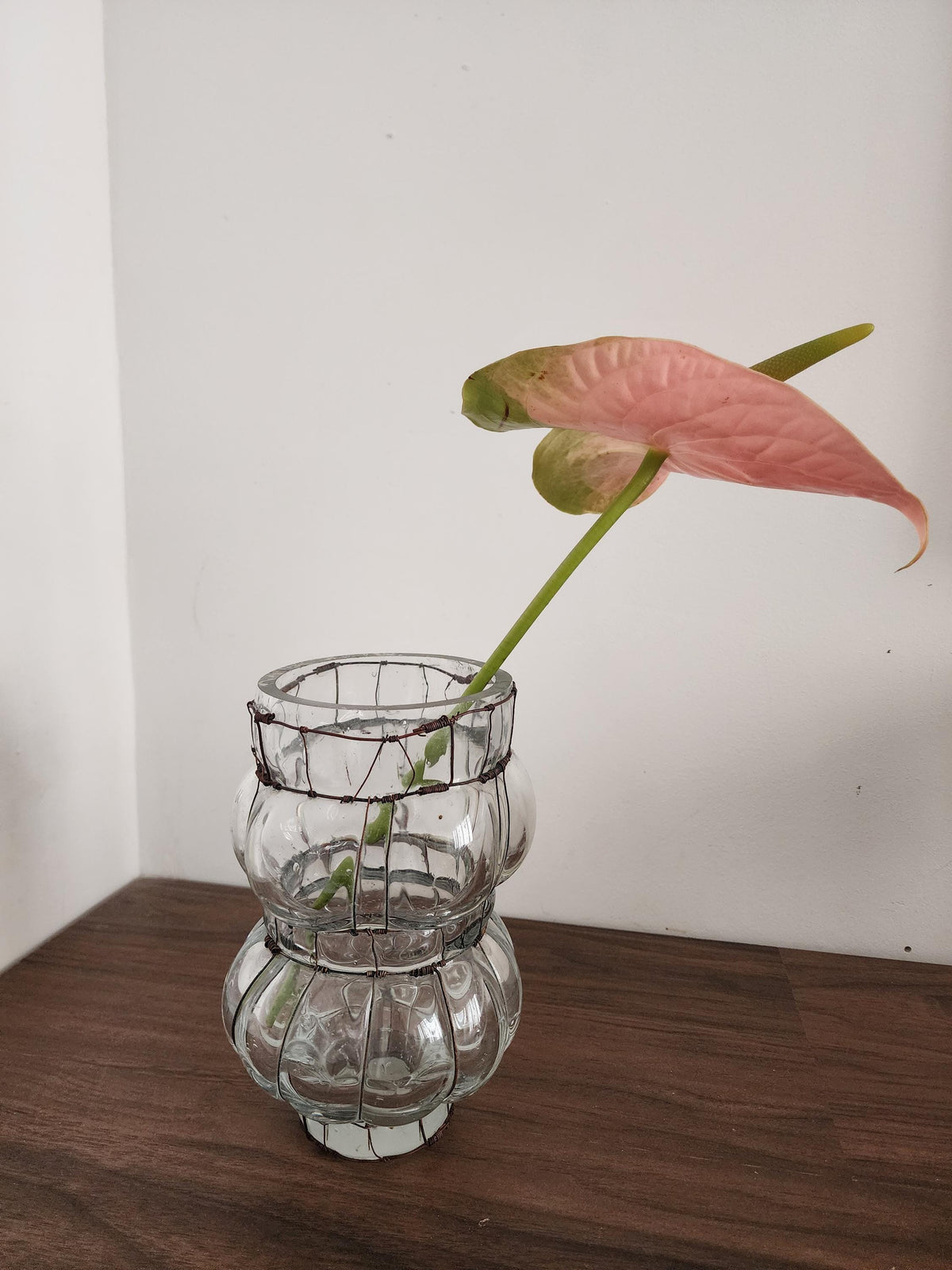 Hand Blown Glass Wire Sculpture, Vintage Clear Glass Vase, Ribbed Bubble Form, Rustic Wrapped Art Object, Decorative Accent Piece