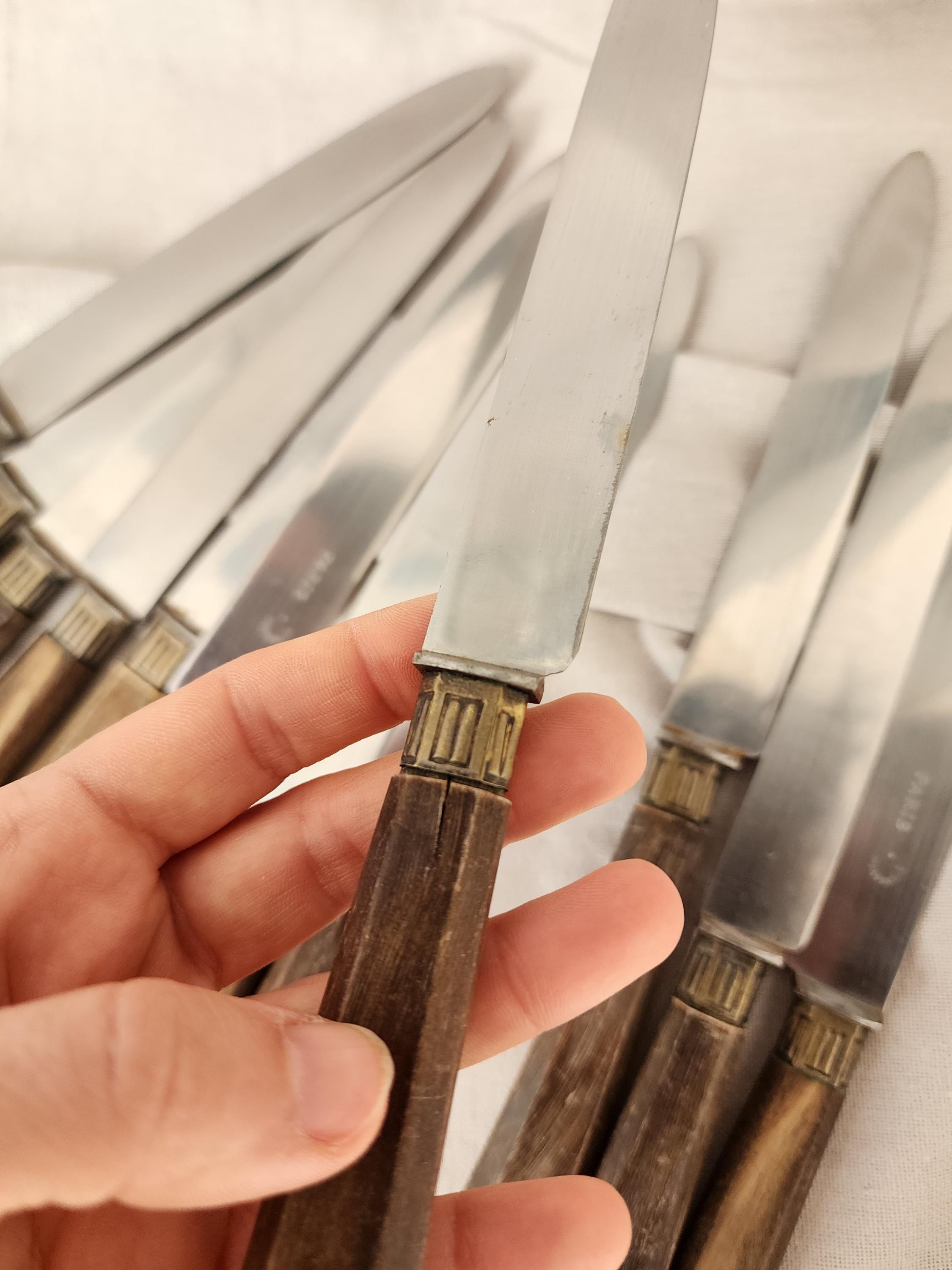 Set of 10 Horn Handle Paris Stainless Steel Knives, Vintage French Cutlery, Rustic Tableware, Midcentury Dining Flatware Set