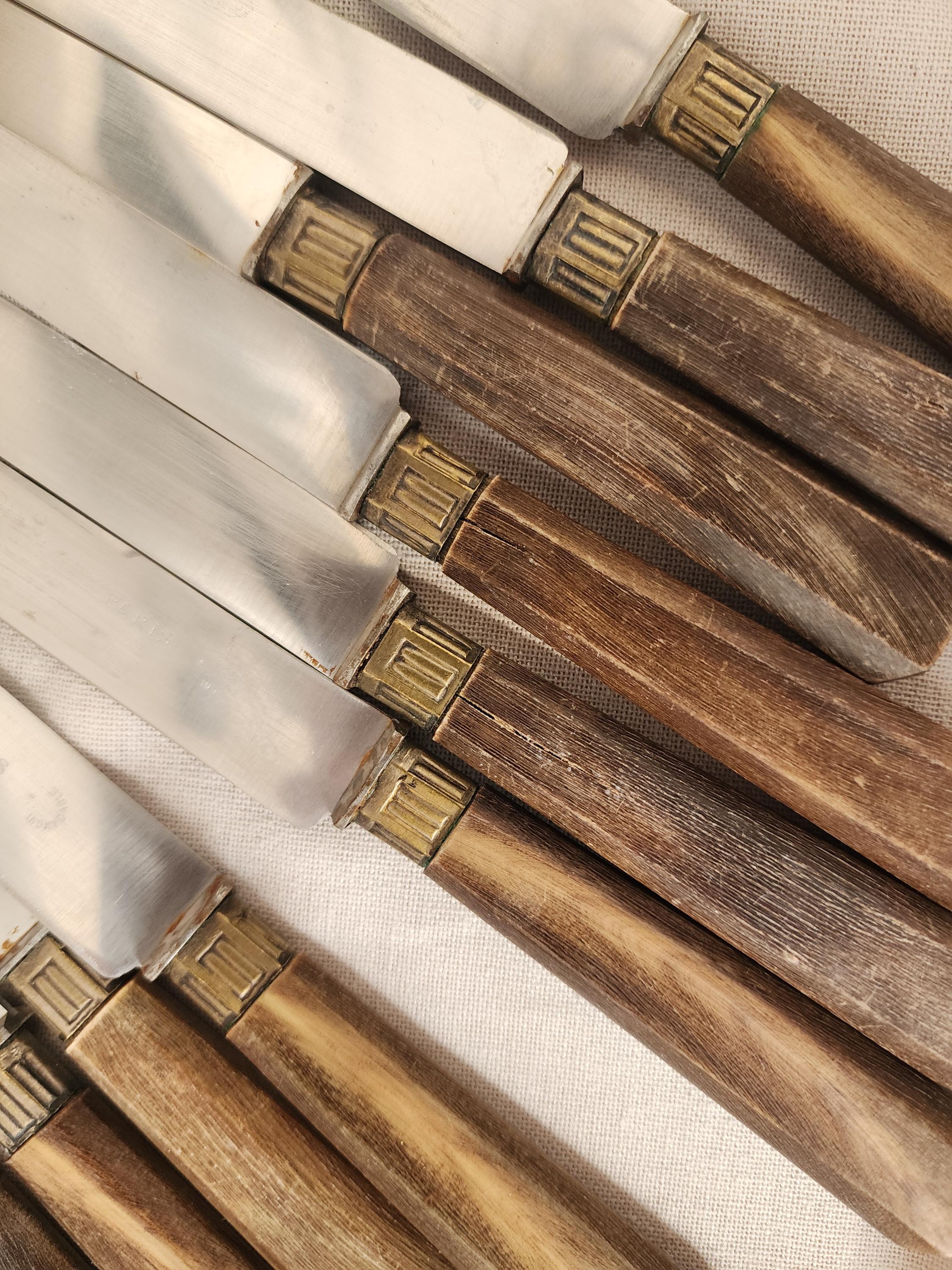 Set of 10 Horn Handle Paris Stainless Steel Knives, Vintage French Cutlery, Rustic Tableware, Midcentury Dining Flatware Set