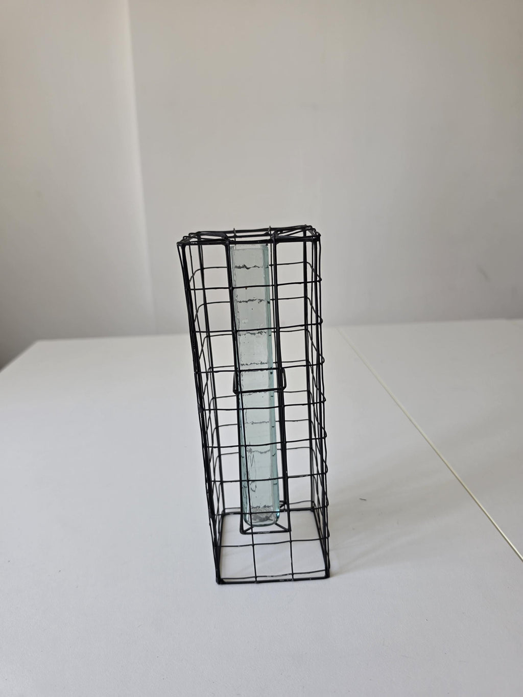 Vintage Industrial Wire Vase Black Metal Grid Vase Glass Test Tube Vase Minimalist Brutalist Floral Display Modern Decor