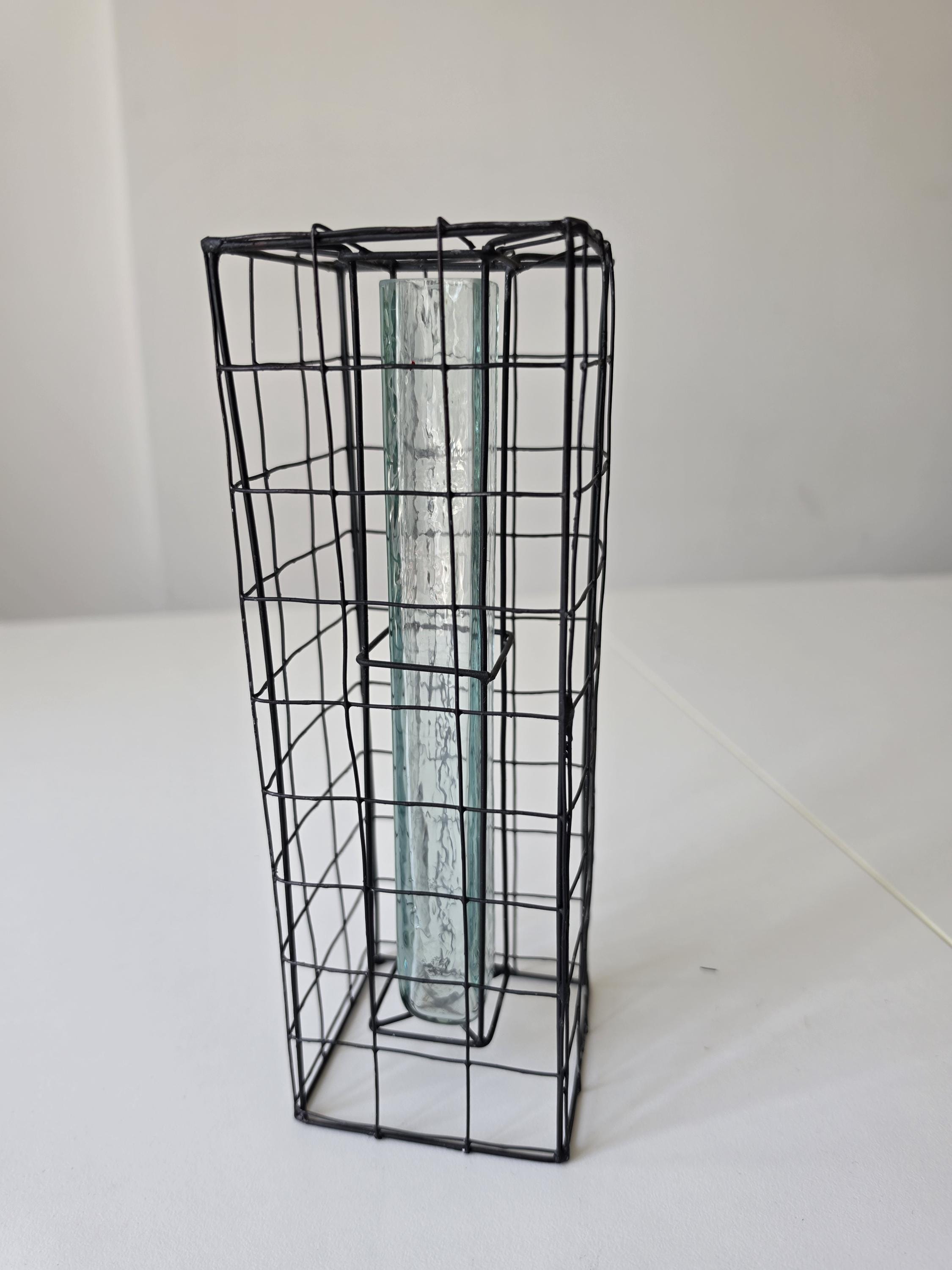 Vintage Industrial Wire Vase Black Metal Grid Vase Glass Test Tube Vase Minimalist Brutalist Floral Display Modern Decor