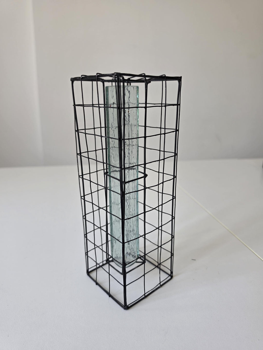 Vintage Industrial Wire Vase Black Metal Grid Vase Glass Test Tube Vase Minimalist Brutalist Floral Display Modern Decor