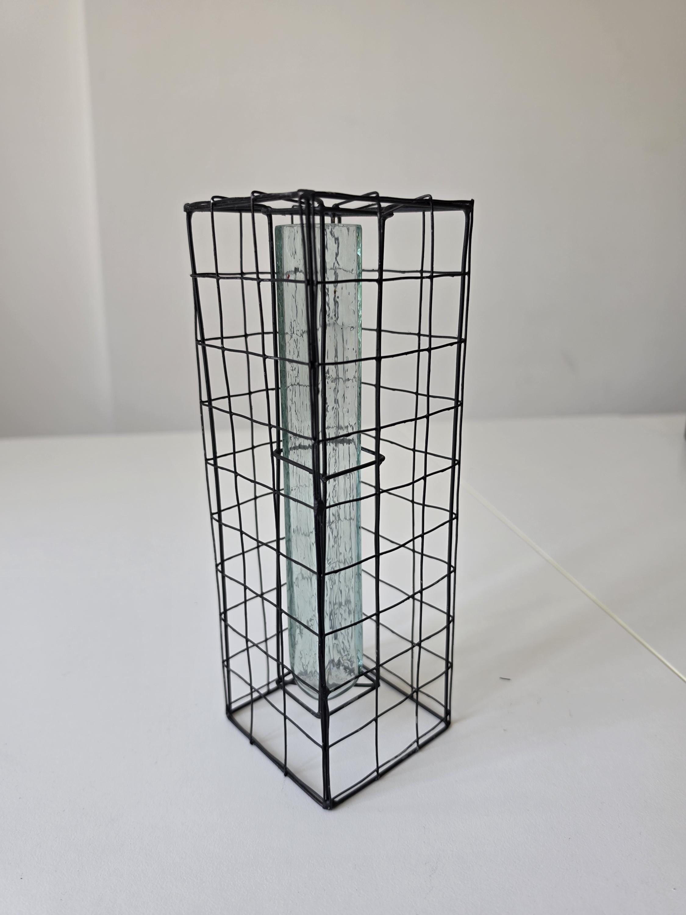 Vintage Industrial Wire Vase Black Metal Grid Vase Glass Test Tube Vase Minimalist Brutalist Floral Display Modern Decor